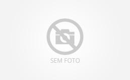 Brasileiro: Botafogo pega Coritiba tentando voltar à luta pelo título