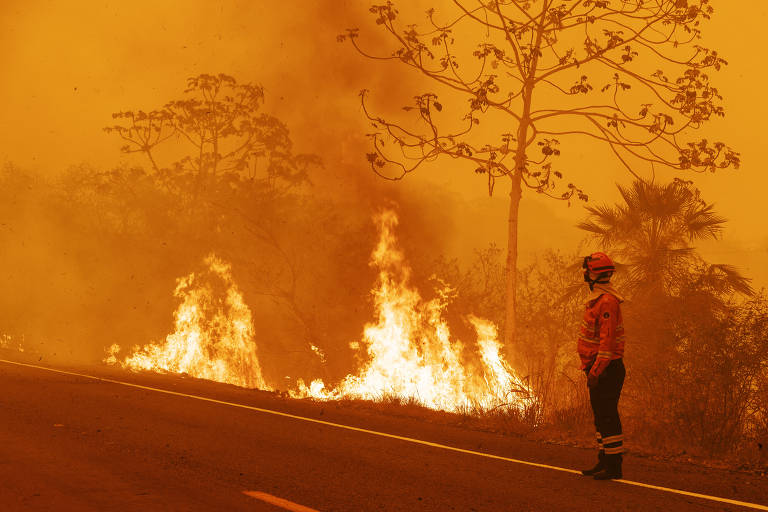 Foto: Folha de S.Paulo - UOL