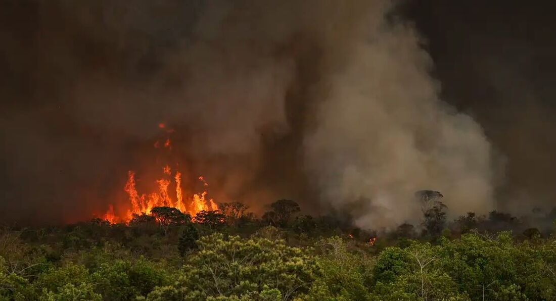 Foto: Folha PE