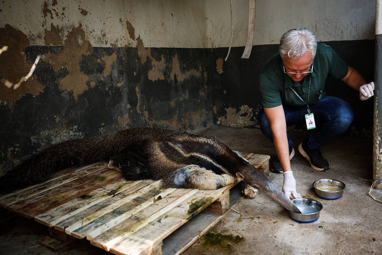 Foto: Folha - UOL