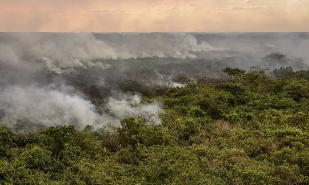 Foto: Jornal de Brasília