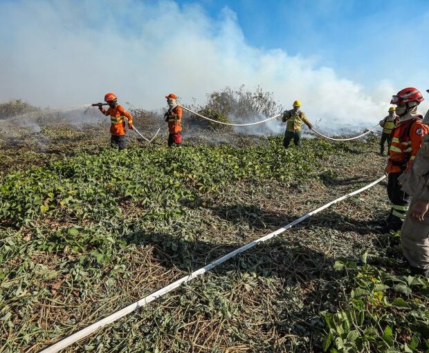 Foto: Jornal de Brasília