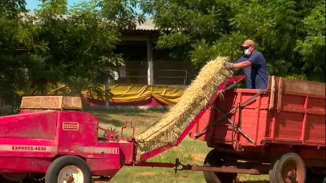 Foto: G1 - Globo.com