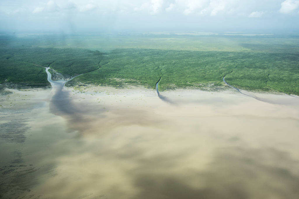 Foto: Jornal de Brasília