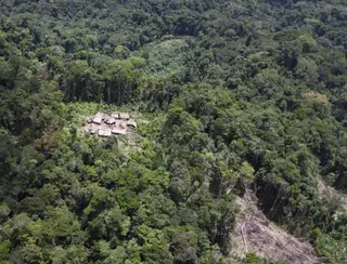 Estados se unem para enfrentar desmatamento no Pantanal