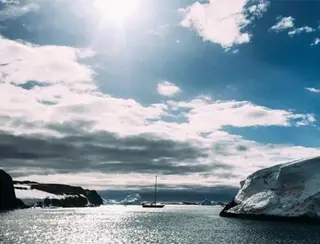 Por que insolação está afetando animais e plantas na Antártida