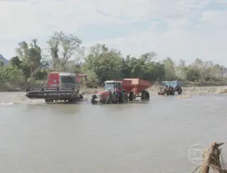 Globo Rural mostra as perdas nas plantações e criações no Rio Grande do Sul