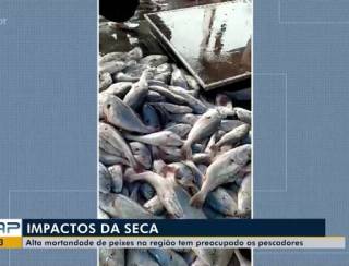 Pescadores afetados por mortandade de peixes pagarão juros menores