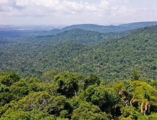 Financiamento da sustentabilidade na Amazônia contará com novo fundo