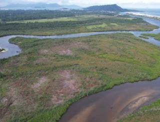 Projeto recupera mangues em SC, ameaçados por poluição e especulação imobiliária
