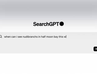 SearchGPT: Dona do ChatGPT entra no mercado de buscas, que é dominado pelo Google