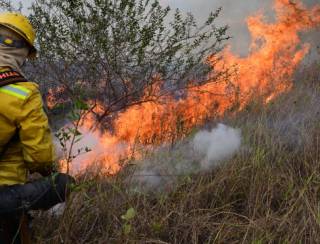 Fogo no pantanal se espalha por fazendas de Corumbá (MS) após acidente de caminhão; veja fotos