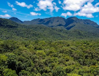 Estado atualiza procedimentos do ICMS Ecológico; 59% das cidades recebem o benefício