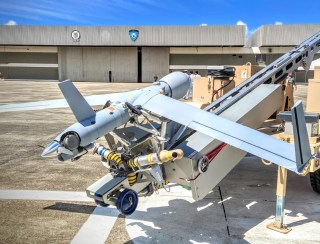 Nauru, Hermes, Heron, ScanEagle e Hórus: os drones usados pelas Forças Armadas brasileiras