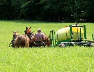 Por que agricultores dos EUA estão usando xixi em suas plantações