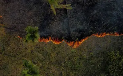 Só 3 estados protocolaram projeto no Fundo Amazônia, que tem R$ 405 mi para combate a incêndios
