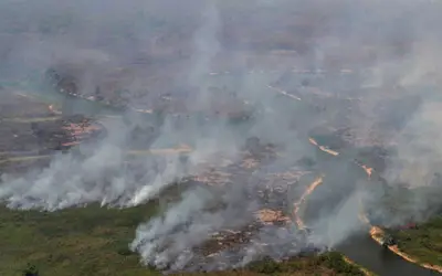 Roraima tem 22% dos focos de queimada de todo o país