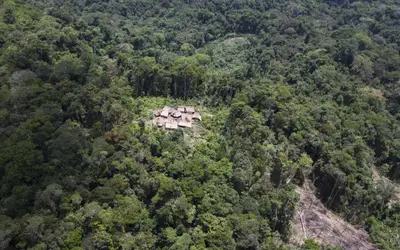 Estados se unem para enfrentar desmatamento no Pantanal