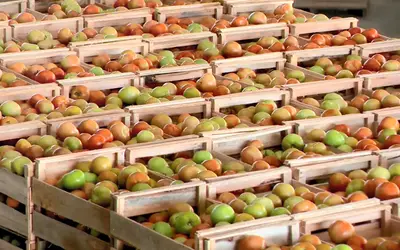 IPCA-15: preços sobem 0,21% em abril, ainda puxados pelos alimentos