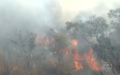 Brasil tem recorde de queimadas nos quatro primeiros meses de 2024