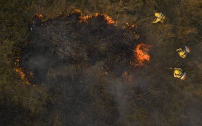 Incêndios a partir de 20 focos queimaram 292 mil hectares do pantanal, diz MP-MS