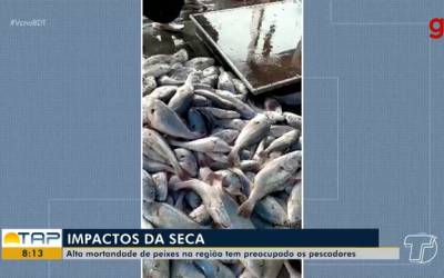 Pescadores afetados por mortandade de peixes pagarão juros menores