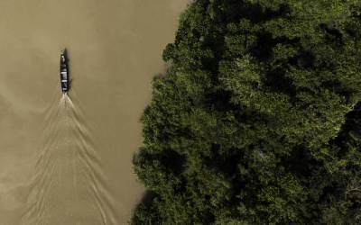 Brasil pode receber R$ 8 bilhões anuais por preservar florestas