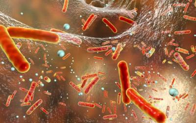 Uso de antibióticos nos primeiros anos de vida pode aumentar risco de alergias na vida adulta, diz estudo