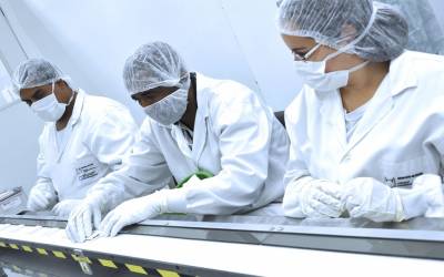 Produção científica cai 7% em 2023 e volta ao patamar pré-pandemia