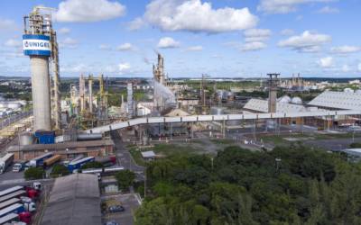 TCU encontra irregularidades em contrato da Petrobras com Unigel no mercado de fertilizantes