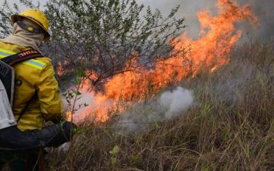 Fogo no pantanal se espalha por fazendas de Corumbá (MS) após acidente de caminhão; veja fotos