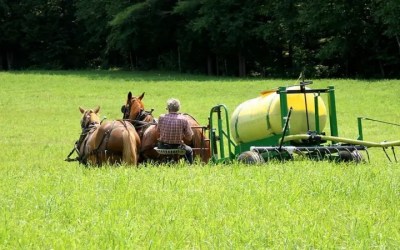 Por que agricultores dos EUA estão usando xixi em suas plantações