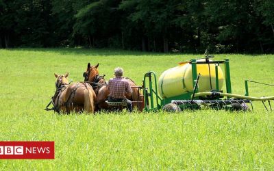 Por que agricultores dos EUA estão usando xixi em suas plantações